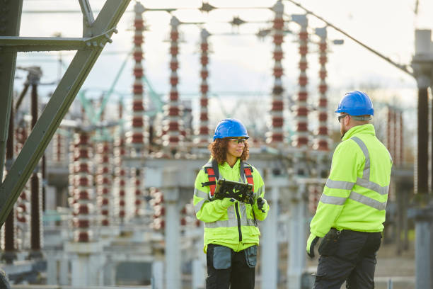 Best Electrical System Inspection  in Mount Morris, IL