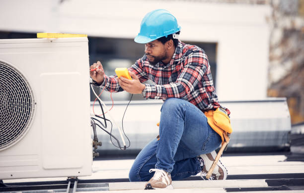 Best 24-Hour Electrician  in Mount Morris, IL