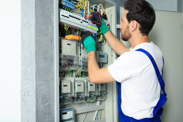 Best Ceiling Fan Installation Electrician  in Mount Morris, IL
