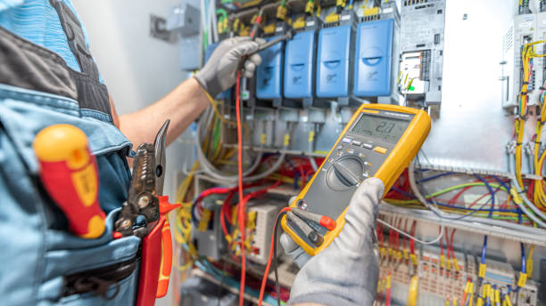 Best Electrical System Inspection  in Mount Morris, IL