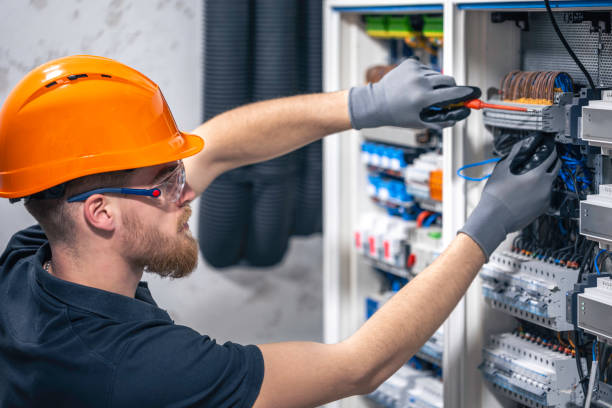 Best Electrician for Home Renovation  in Mount Morris, IL